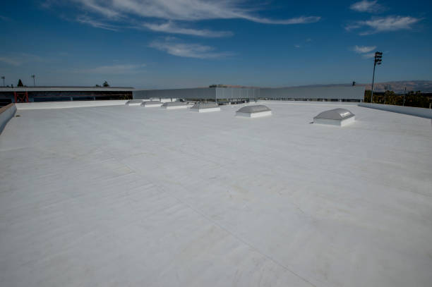 Best Hot Roofs  in Aurora, IN