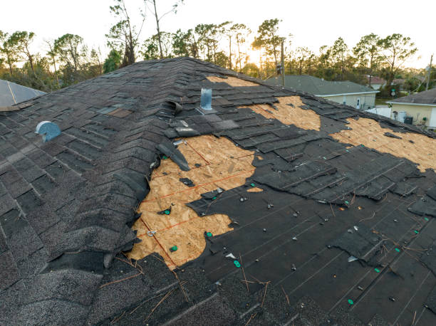 Roof Moss and Algae Removal in Aurora, IN